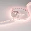 Лента светодиодная RT-GM288-12mm 24V RGBW-MIX (19.2 W/m, IP20, 3838/2216, 5m) (arlight, Открытый) | 028258(2) | Arlight