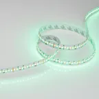 Лента светодиодная RT-GM288-12mm 24V RGBW-MIX (19.2 W/m, IP20, 3838/2216, 5m) (arlight, Открытый) | 028258(2) | Arlight