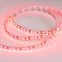 Лента светодиодная RT 2-5000 12V Red 2x (3528, 600 LED, LUX) | 012329(B) | Arlight