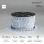 Дюралайт LED, эффект мерцания 2W - белый Эконом 24 LED/м , 100 м