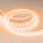 Лента RT-B60-10mm 12V Orange (14.4 W/m, IP20, 5060, 5m) (, Открытый)