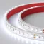 Лента светодиодная RTW 2-5000PGS 24V Cool 2x (3528, 600 LED, LUX) (arlight, 9.6 Вт/м, IP67) | 016835(1) | Arlight