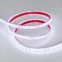 Лента светодиодная RTW 2-5000PGS 24V Cool 2x (3528, 600 LED, LUX) (arlight, 9.6 Вт/м, IP67) | 016835(1) | Arlight