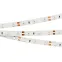 Лента RT-A60-8мм 12V Orange (4.8 W/m, IP20, 2835, 5м) (-)