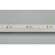 Лента светодиодная RT-A120-5mm 24V Warm3000 (9.6 W/m, IP20, 2835, 5m) (arlight, узкая) | 024105(2) | Arlight