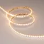 Лента RS-S120-8mm 24V Warm2700 (9.6 W/m, IP20, 3014, 5m) (Arlight, боковое свечение)