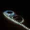 Лента светодиодная Basic LED 2835/60 12V 4,8W/m 312lm/m 3000K 8mm IP20 3m 1/100 | BT002 | Gauss