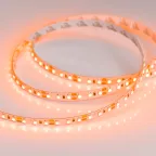 Лента RT-A120-8мм 12V Orange (9.6 W/m, IP20, 2835, 5м) (-)