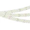 Лента LED RT-A252-19мм 24V Warm3000 (27 W/m, IP20, 2835, 5м) (ARL, Открытый)
