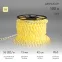 Дюралайт LED, постоянное свечение 2W – тёплый белый, 36 LED/м, 100 м