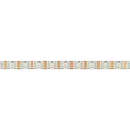 Лента SPI-B60-10mm 5V RGB-PX1-BPT (12 W/m, IP20, 5060, 5m) (Arlight, бегущий огонь)
