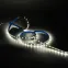 Лента светодиодная Basic LED 5050/60 12V 8W/m 800lm/m 3000K 10mm IP20 2m 1/100 | BT020 | Gauss