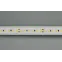 Лента светодиодная IC2-20000 24V Warm2700 2x 12mm (2835, 120 LED/m, Long) | 024593 | Arlight