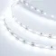 Лента светодиодная RT 2-5000 12V Cool 8K (2835, 300 LED, PRO) | 016889(1) | Arlight