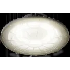 Светильник светодиодный ДСП-113-01-СР-100-3К-D60