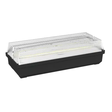 Светильник аварийный BS-UNIVERSAL-10-L2-24 5000K Black