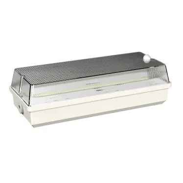 Светильник аварийный BS-UNIVERSAL-10-L5-LED 3000K DD01