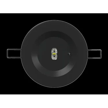 Светильник аварийный BS-ARUNA-51-L2-INEXI3 IP40 Black