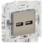 SKANDY Розетка USB A+A 3,1А SK-R15N никель IEK