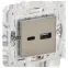SKANDY Розетка USB A+C 18Вт SK-R13N никель IEK