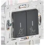                  SKANDY Выключатель 2-клавишный с индикацией для отелей 10А SK-V16G графит IEK
               