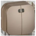                  GLORY Выключатель 2-клавишный для открытой установки с индикацией 10А ВС20-2-1-ХШм шампань матовый IEK
               