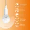 Лампа светодиодная LED 8 Вт 520 лм 3000К шар P45 теплый E14 AC 220В Elementary Gauss
