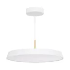                  Светильник SP-ELEGANT-R500-37W Day4000 (WH, 120 deg, 230V) (arlight, IP20 Металл, 3 года) | 033924 | Arlight
               