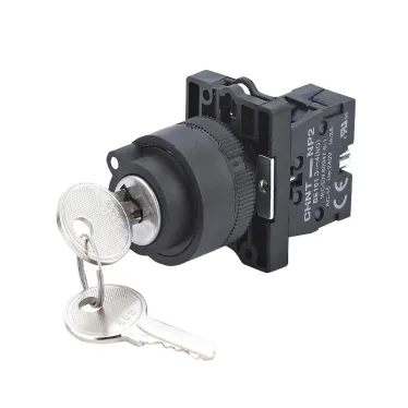 Переключатель NP2-EG31, 3 положения фиксацией, 1НО, IP40 (R) | 575264 | CHINT