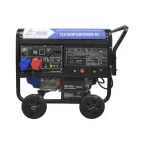                  Генератор бензиновый сварочный инверторный TSS GGW 6.0/250ED-R3
               