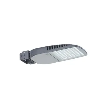 Светильник FREGAT FLOOD LED 110 (60) 5000K