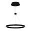 Светильник SP-CONGO-CAN-1-R400-24W Warm3000 (BK, 120 deg, 230V) (Arlight, IP20 Металл, 5 лет)
