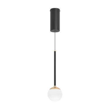 Светильник SP-BEADS-HANG-T-R100-8W Day4000 (BK-GD, 180 deg, 230V) (Arlight, IP20 Металл, 5 лет) | 036507 | Arlight