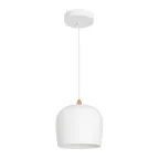                  Светильник SP-PEONY-HANG-R250-15W Warm3000 (WH, 65 deg, 230V) (IP20 металл, 3 года)
               