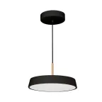                  Светильник SP-ELEGANT-R300-17W Day4000 (BK, 120 deg, 230V) (Arlight, IP20 Металл, 3 года)
               