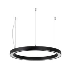                  Светильник SP-CIRCLE-HANG-O3535-D500-30W Warm3000 (RAL9005, 120 deg, 230V) IP40 LED (Arlight, Алюминий)
               