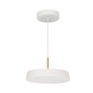 Светильник SP-ELEGANT-R300-17W Warm3000 (WH, 120 deg, 230V) (arlight, IP20 Металл, 3 года) | 033914 | Arlight