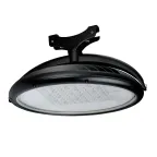                 Светильник светодиодный Кассиопея LED-60-ШО/С1 (9000/740/RAL7040/D/0/ORN2/GEN2)
               