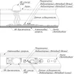 ИК-выключатель SR-IRIS-IRH (12-24V, 1x5A, 40x11mm) (ARL, Открытый)