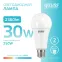 Лампа светодиодная LED 30 Вт 2360 лм 4100К А67 груша нейтральный E27 AC 220В Elementary Gauss