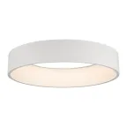 Светильник SP-TOR-RING-HANG-R600-42W Day4000 (WH, 120 deg) | 022148(1) | Arlight