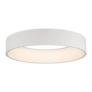 Светильник SP-TOR-RING-HANG-R600-42W Day4000 (WH, 120 deg) | 022148(1) | Arlight