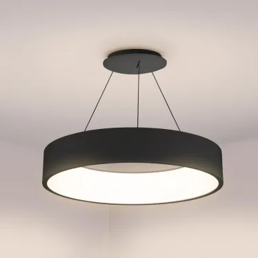 Светильник SP-TOR-RING-HANG-R600-42W Day4000 (BK, 120 deg) | 023394(1) | Arlight