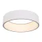 Светильник SP-TOR-RING-HANG-R460-33W Day4000 (WH, 120 deg) (ARL, IP20 Металл, 3 года)