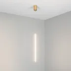 Светильник SP-UMBRA-HANG-V-L600-10W Day4000 (GD, 120 deg, 230V) (, IP20 Металл, 3 года)