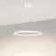 Светильник SP-CONGO-CAN-1-R600-36W Day4000 (WH, 120 deg, 230V) (Arlight, IP20 Металл, 5 лет)
