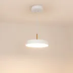 Светильник SP-ELEGANT-R300-17W Warm3000 (WH, 120 deg, 230V) (Arlight, IP20 Металл, 3 года)