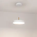 Светильник SP-ELEGANT-R300-17W Day4000 (WH, 120 deg, 230V) (IP20 металл, 3 года)