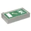 Световой указатель BS-FLAGMAN-51-S1-INEXI2 NST