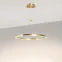 Светильник SP-CONGO-CAN-1-R600-36W Day4000 (GD, 120 deg, 230V) (Arlight, IP20 Металл, 5 лет)